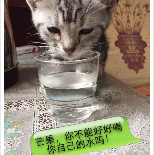交通银行个人存款证明怎么买高仿
